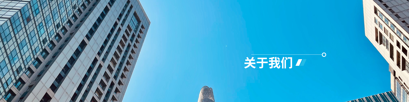 富彩vip